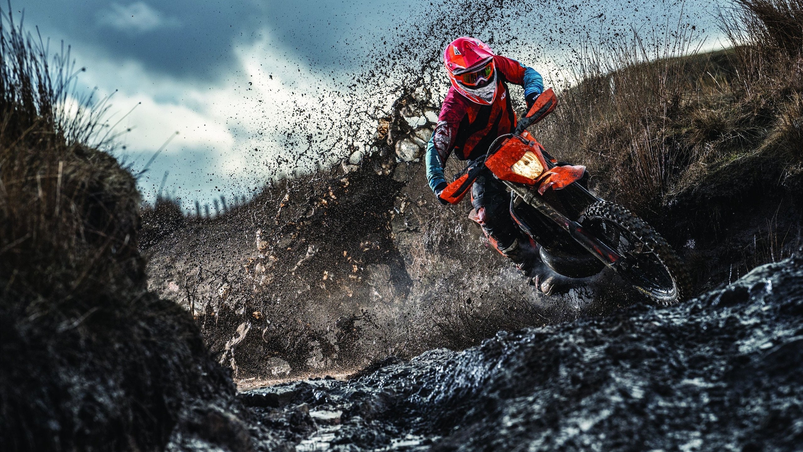 欧宝体育-德约科维奇迎来十二赛季高光表现，MAD球迷沸腾！